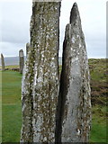 HY2913 : Ring of Brodgar. by sylvia duckworth