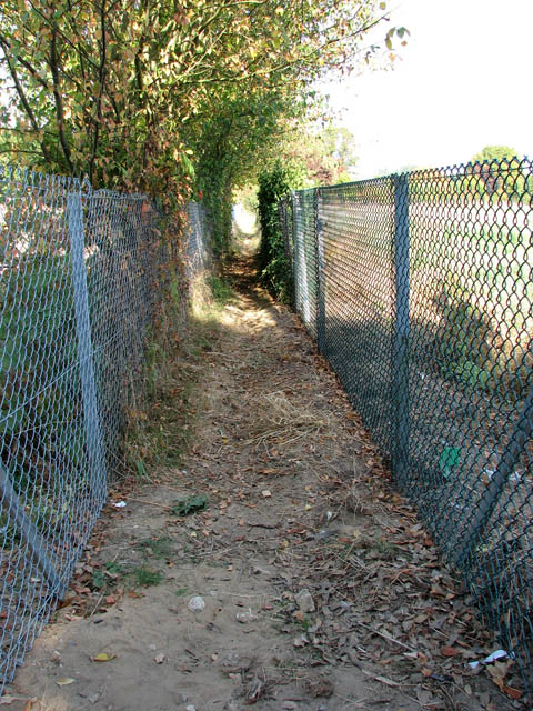 Narrow path between two fences