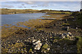 Shoreline at Orasaigh