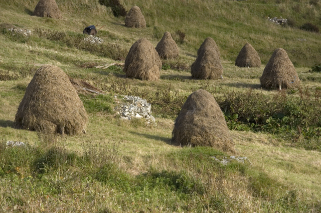 Traditional Hebridean haystacks
