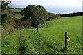 Footpath to the Coast