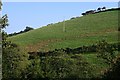 The Hillside near Lannear