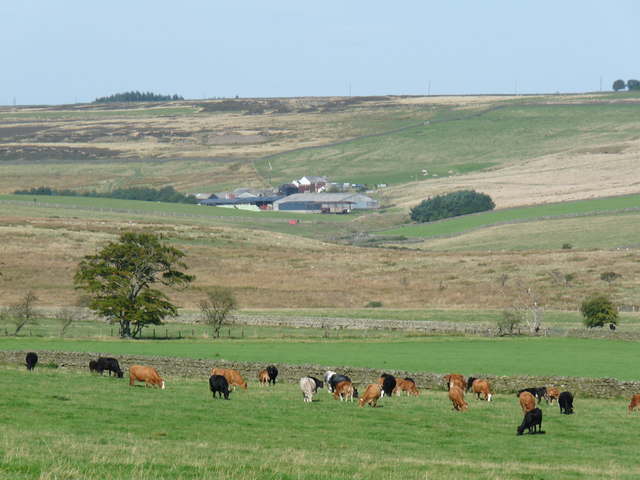 Low Houselop Farm