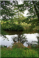 SK2566 : A Tree Reflected in the Derwent by David Lally