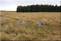 SX6585 : Boundary stone on Stonetor Hill by Guy Wareham