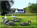 A Happy Family at Forres