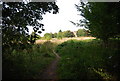 Small footpath leading off the River Medway to nearby houses