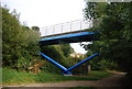 The Downstream Millennium bridge crosses the Medway Valley Walk