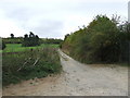 Old Road From Ullenwood to Shab Hill