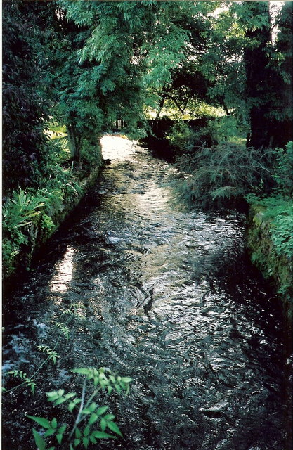 Mill race at windrush mill