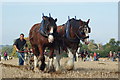 Surrey County Ploughing Match 2009 (4)