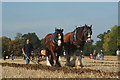 Surrey County Ploughing Match 2009 (5)