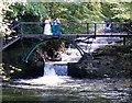 A Bridal Party by The Falls