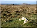 SX5969 : Moorland northwest of Eylesbarrow by Derek Harper