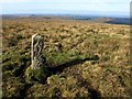 SX5968 : Boundary stone near Eylesbarrow by Derek Harper