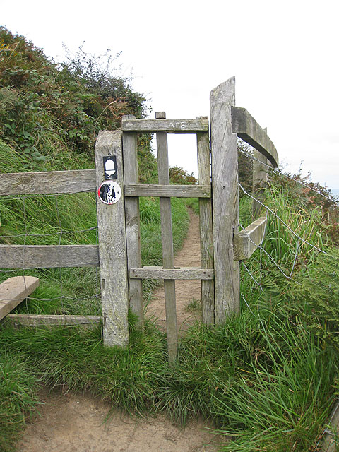 Dog gate by the stile