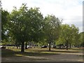 TQ2874 : Trees along the South Circular Road over Clapham Common by Chris Reynolds