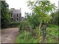 Derelict Farmhouse, Gortnagarn