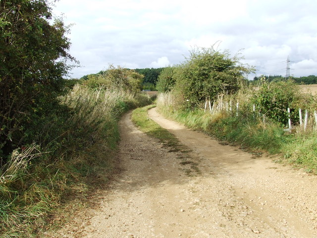 Old road from Seven springs, to Colesbourne Park.