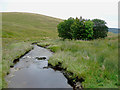 Afon Camddwr north of Soar-y-Mynydd, Ceredigion