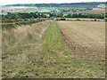 SP3021 : Field margin, Pudlicote Lane, near Chipping Norton by Brian Robert Marshall