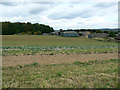 Pudlicote Farm, near Chipping Norton