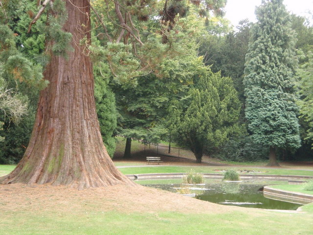 Pond in Tring Memorial Park