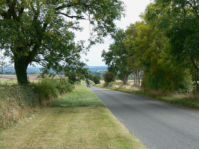 Trees along Chipping Norton Road, near Chipping Norton
