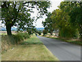 Trees along Chipping Norton Road, near Chipping Norton