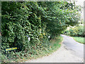 Byway entrance, Wilcote Riding, near Finstock