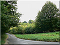 Wilcote Riding, near Finstock