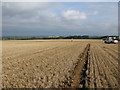 Field of stubble at Merton Farm