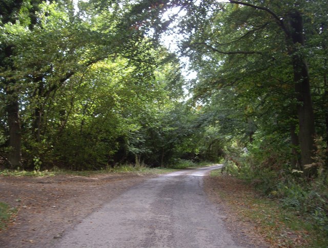 Road from Selaby Hall