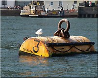 SX8851 : Mooring buoy, Dartmouth by Derek Harper