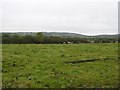 Carnaghliss Townland