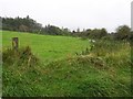 Ballyutoag Townland