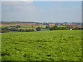 Pasture above Trethevy Farm