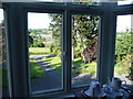 Looking out from the Maes-y-derw B&B onto the main Cardigan Road