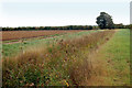 A drainage ditch on Poplar Farm