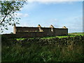 Ruined house at Scales