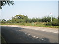 Bus stop in Hoe Road (2)