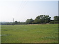 Field between Swanmore Road and Paradise Lane