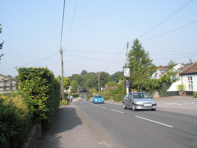 Early autumn in Church Road