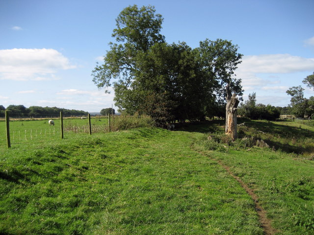 Footpath between Towler Hill and Pecknell Wood