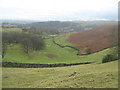 Farmland near Littlewater