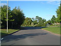 Traffic Island between Sandy Way and Mercian Way (2)