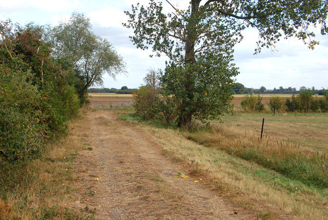 Track leading east from Poplar Farm