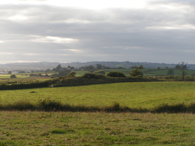 Fields between Rockbeare and Exeter Airport, looking west