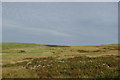 Sheepfold on western slopes of Craigbirnoch Fell