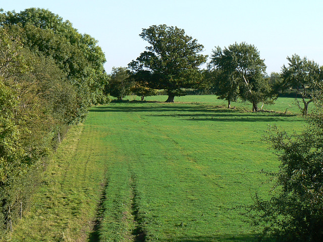 Field, Spine Road, near South Cerney